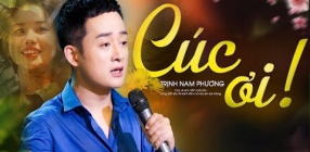 Cúc Ơi - Trịnh Nam Phương