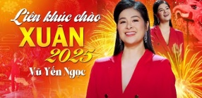 Liên Khúc Cha Cha Cha Xuân 2025 - Vũ Yến Ngọc